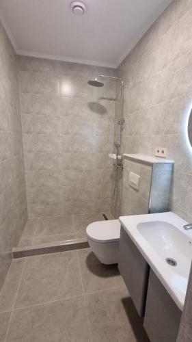 a bathroom with a shower and a toilet and a sink at Chic 3-room apartment in K'obulet'i