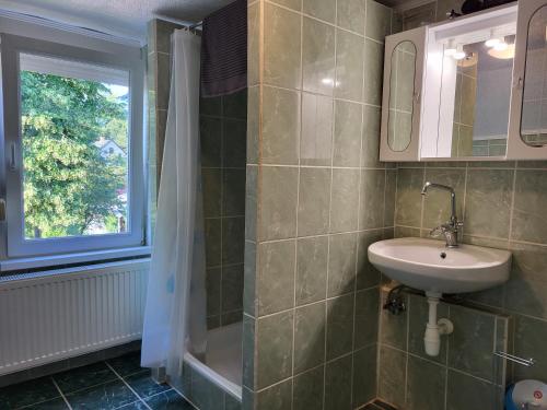 a bathroom with a sink and a shower at Vitorlásház in Balatonvilágos