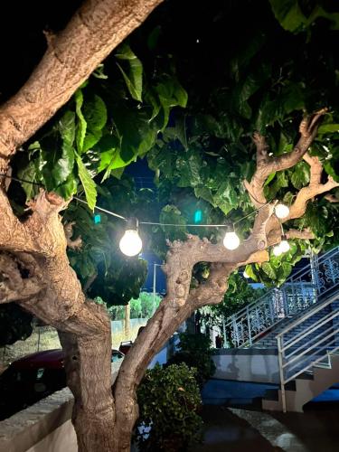 a tree with lights hanging from it at night at Mulberry House in Elafonisos