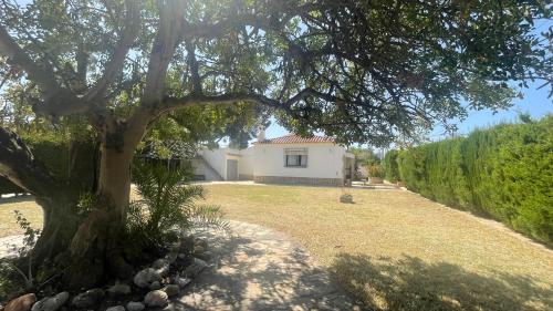 MEDDAYS VILLA SAN MIGUEL