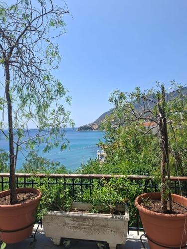 a balcony with two potted trees and the ocean at Captain's House in Plomarion
