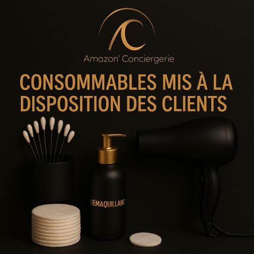 a black bottle of a laitution des clients next to a hair brush at Cocon Montabo - logement tout équipé avec climatisation et Wi-Fi - à seulement 5 min de la plage in Cayenne