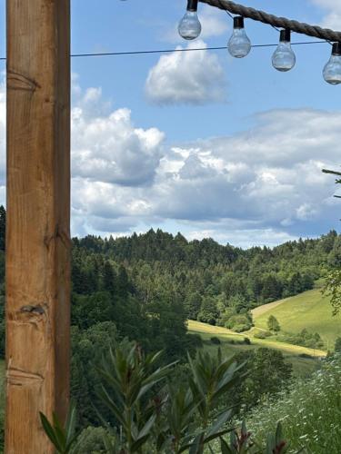 a view from a window of a field and trees at Przystanek Berdo in Zawóz