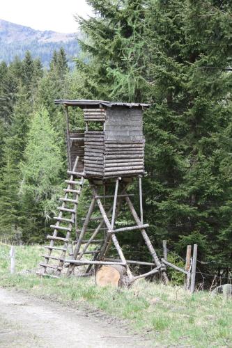a tree house sitting on the side of a road at Hüttentraum Flattnitz in Flattnitz