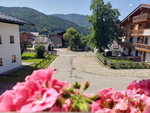 a bunch of pink flowers in front of a street at Haus Zauner in Reit im Winkl