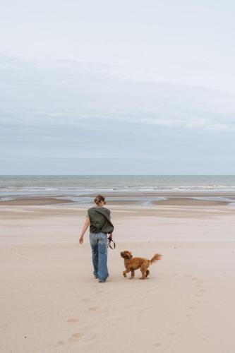 a person walking a dog on the beach at Boutique Hotel Azur in De Haan