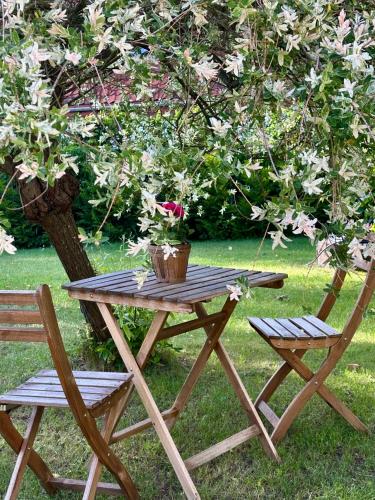 a picnic table and two chairs and a tree at Mazurska Zagroda - Żabi Rechot - dom - stodoła - jacuzi-sauna in Worliny