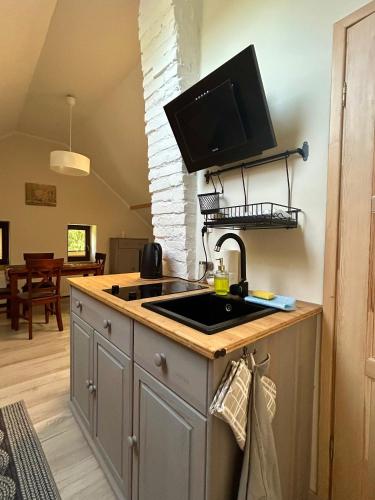 a kitchen with a sink and a tv on the wall at Mazurska Zagroda - Żabi Rechot - dom - stodoła - jacuzi-sauna in Worliny