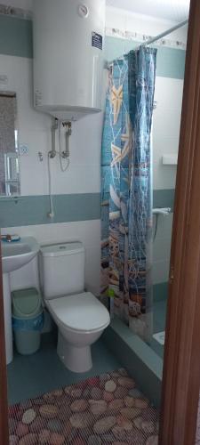 a bathroom with a toilet and a shower curtain at Гостевой дом Уют in Karolino-Buhaz