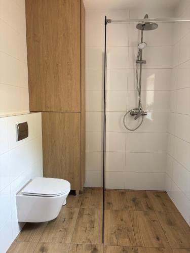 a bathroom with a toilet and a glass shower at Pod Ogrodami in Stary Sącz