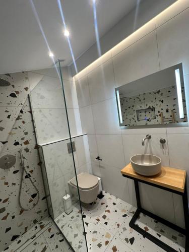 a bathroom with a shower and a sink and a toilet at John&Nansy Cozy Apartment 1 in Plomarion