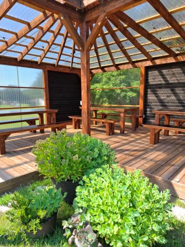Gallery image of Muha Beach Holiday Home in Riksu