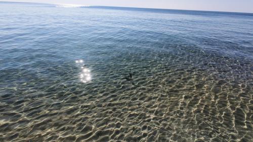 a person standing in the water on a beach at Cossara luxury villas - Adults Only in Balchik