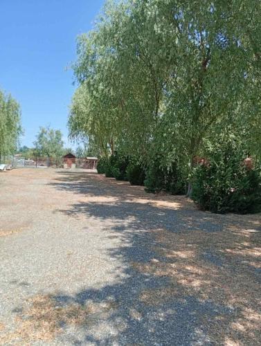 a large yard with trees and bushes on the ground at Apartmani 401- Bijeljina in Bijeljina