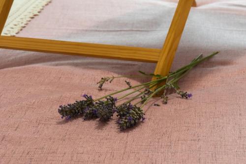 a bunch of purple flowers on the floor next to a mirror at Pupi Studio Apartment Trogir in Trogir