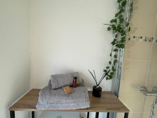 a bathroom with a bench with a plant and a shower at La maison de Sophie à Saint Pol de Léon in Saint-Pol-de-Léon