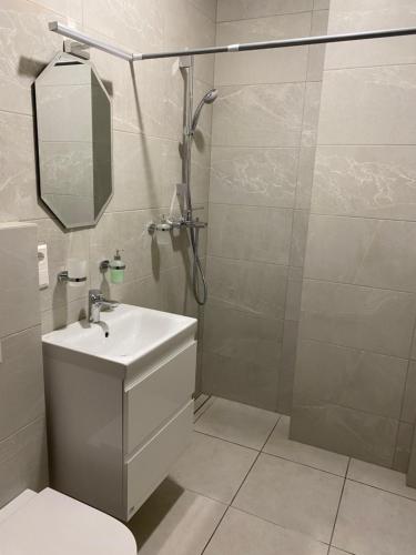 a bathroom with a shower and a sink and a mirror at 4 winds Notus in Palanga