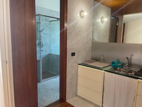 a bathroom with a shower and a sink at Demenna Suite in La Rocca