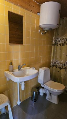 a bathroom with a sink and a toilet at Viitna Puhkekeskus in Viitna
