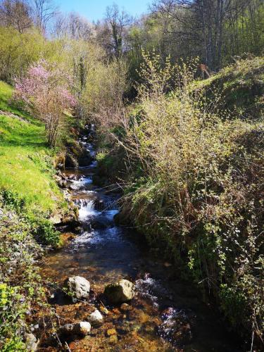a stream in a field with grass and trees at Lodge Les Rêveries de Charles in Plancher-les-Mines