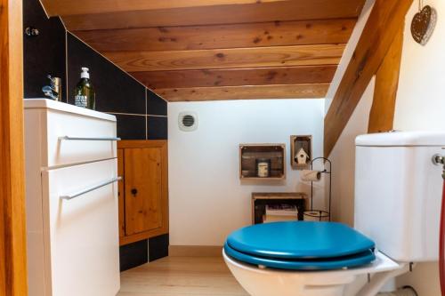a bathroom with a toilet with a blue seat at Lodge Les Rêveries de Charles in Plancher-les-Mines