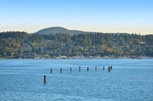 a large body of water with posts in the water at Salishan Tree House Suite in Cowichan Bay