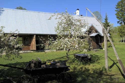 a tree with a cart in front of a building at Aadniel's Holiday Village in Aula