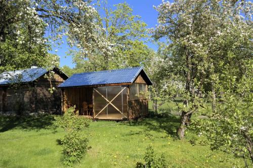a small shed in a field with a tree at Aadniel's Holiday Village in Aula