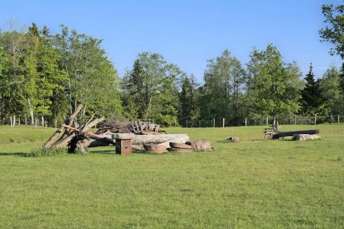 a pile of logs in a field with trees at Aadniel's Holiday Village in Aula