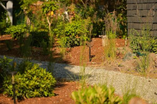 a garden with flowers and plants in a yard at The Bayside Cottage in North Saanich