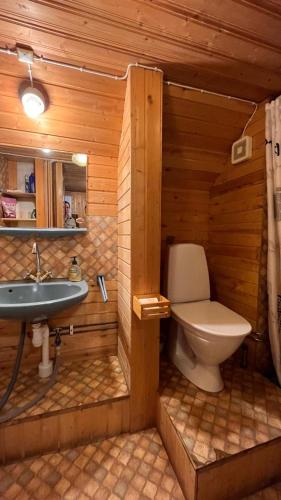 ein Badezimmer mit Toilette und Waschbecken in der Unterkunft Idyllisches Landhaus mit Ruderboot, Südschweden in Vissefjärda