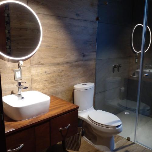 a bathroom with a toilet and a sink and a shower at Casa del bosque in Jilotepec