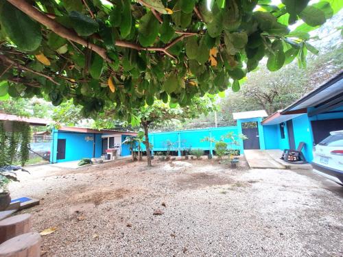 Taman di luar Apartamento Studio cerca de Playa Tamarindo