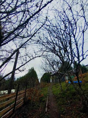 a yard with a fence and a field with trees at Blue Cabin - La Herradura 