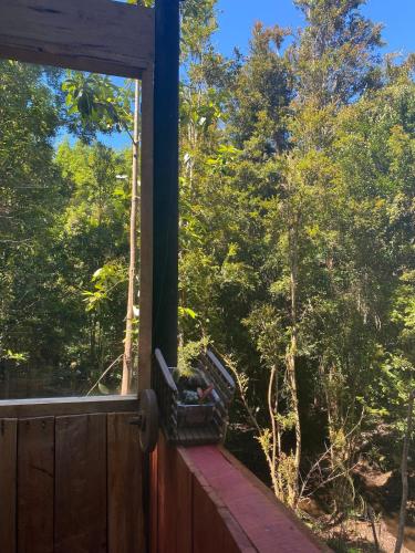 a window of a cabin looking out into the woods at Blue Cabin - La Herradura 