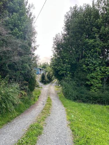 a dirt road with trees on either side of it at Blue Cabin - La Herradura 