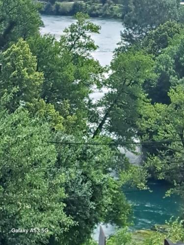 a view of a river through the trees at Apartman hukanovic in Bosanska Krupa