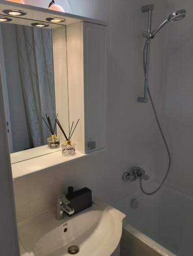 a bathroom with a sink and a shower and a mirror at Bucarest old center in Văleni