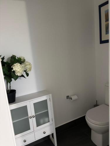 a bathroom with a toilet and a cabinet with glass windows at Quiet haven in Forster