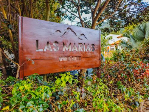 Κήπος έξω από το Apartasuites Las Marías
