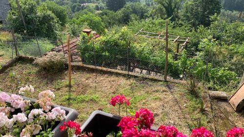 Κήπος έξω από το Casa vacanze montagna lucchese