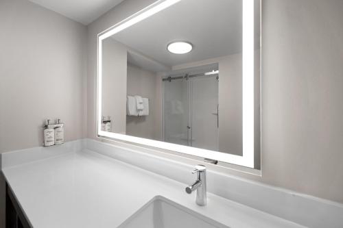 a bathroom with a sink and a large mirror at Holiday Inn Express Greenville by IHG in Greenville