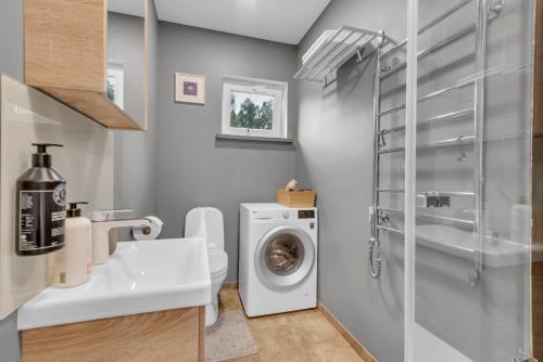 a bathroom with a washing machine and a sink at The Flower Nest in Zvejniekciems