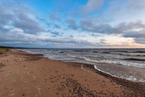 a beach with a cloudy sky and the ocean at The Flower Nest in Zvejniekciems