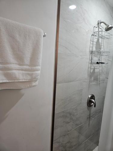 a shower with a glass door with a towel at Sunflower Guest Suites in Summerside