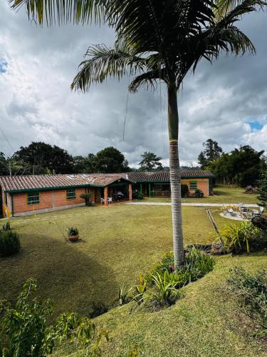 a palm tree in front of a house at Magical farmhouse near Arví Park in Mazo