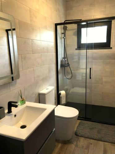 a bathroom with a toilet and a sink and a shower at Seacrets Beach House in Praia do Almoxarife