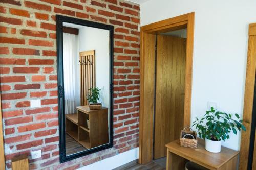 a mirror on a brick wall next to a door at Rudine 41 - Off-Grid Riverside Home in Rokovci