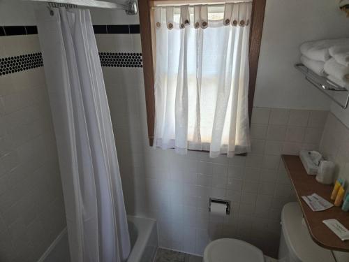 a bathroom with a toilet and a shower curtain at A Bridge View Inn in Chamberlain