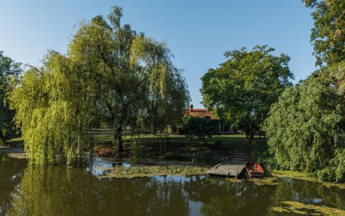 a pond in a park with trees and a boat at Rudine 41 - Off-Grid Riverside Home in Rokovci